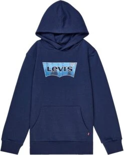 Levi's® Kids Batwing Fill Hoodie (Big Kids)